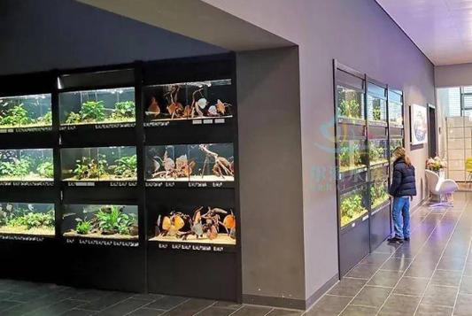 水族店利润有多大缩略图
