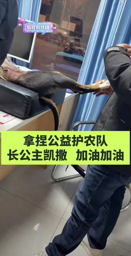 凯撒直装游戏截图