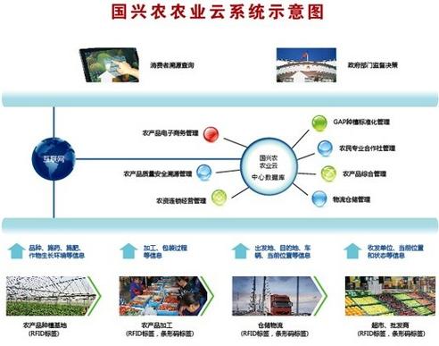 国兴农账号注册