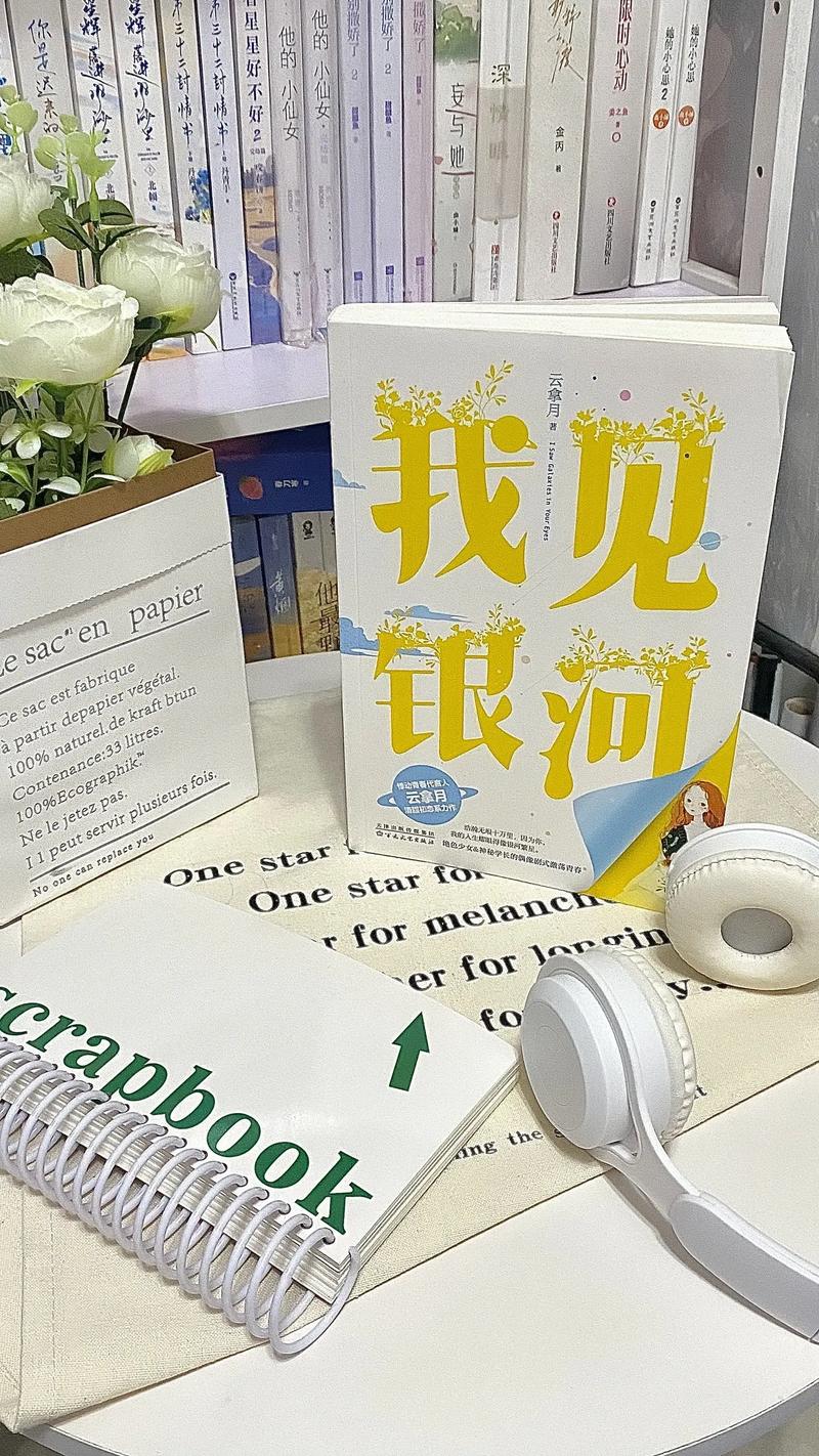我见银河txt