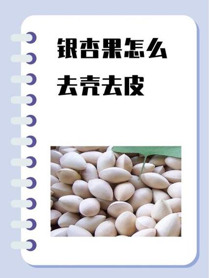 白果剥壳技巧视频