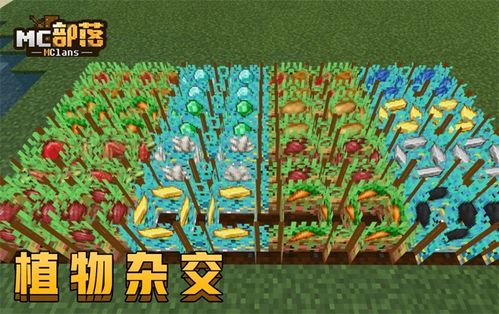 我的世界黄金农场