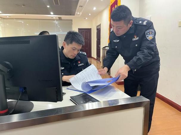 输入身份证号查询案件