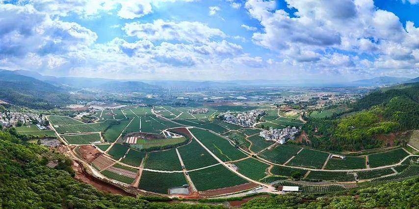 云蓝蓝莓科技有限公司图片