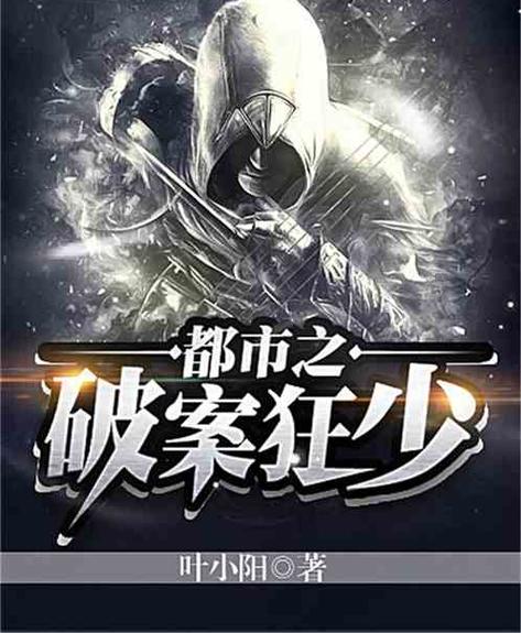 破案类小说