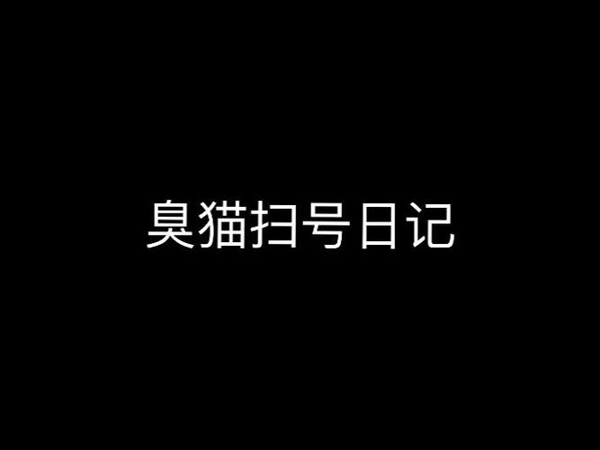 《臭猫的扫号日记》