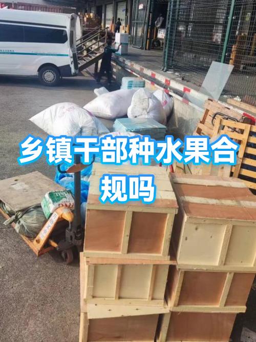合种水果的禁忌