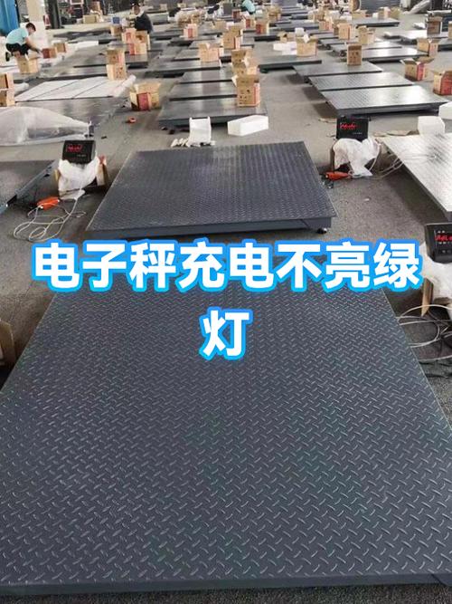 电子秤充不上电交流灯也不亮
