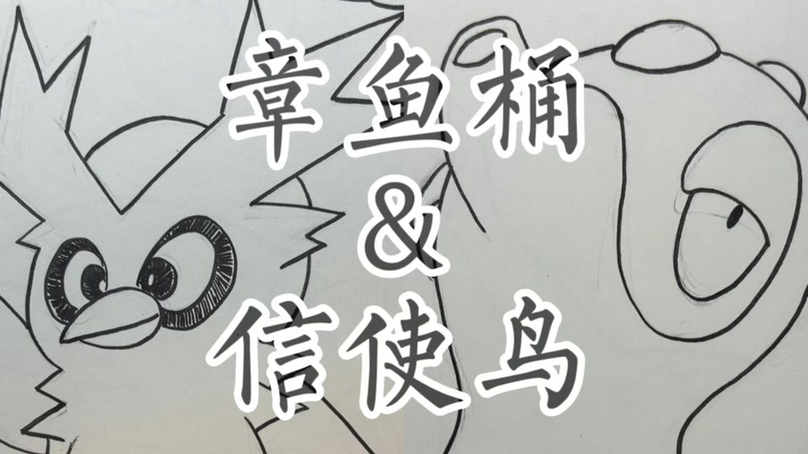 为什么信使鸟这么难抓