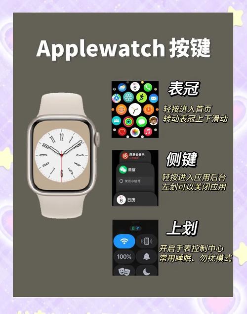 苹果手表英语改中文