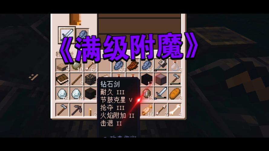 我的世界生命附魔