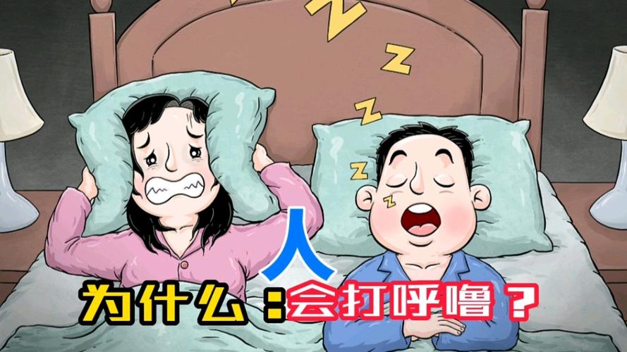 真人打呼噜mp3截图