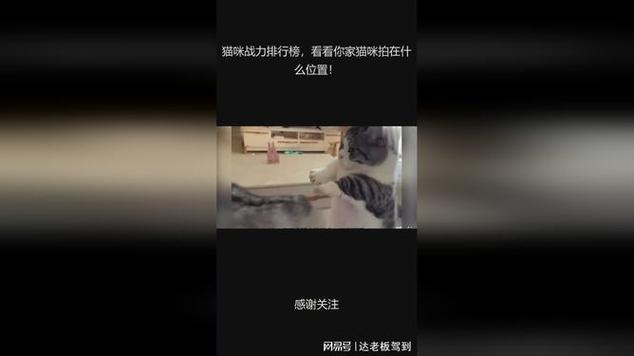 猫咪大战争角色强度表游戏截图