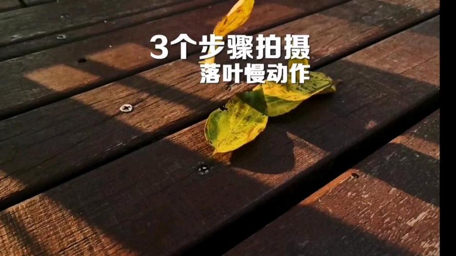 慢动作视频怎么拍图标
