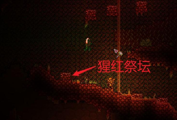 泰拉瑞亚金血果子图片