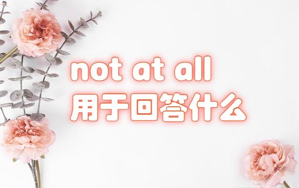 not…at all的用法