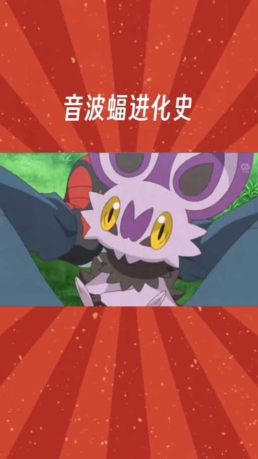 音波龙几级