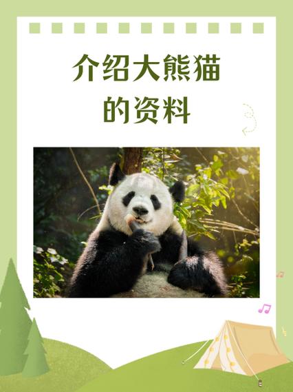 大熊猫的图片与介绍游戏截图