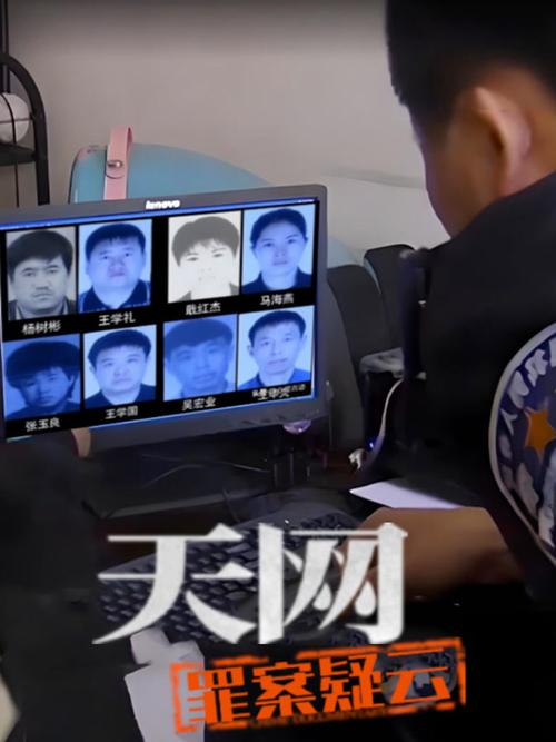 天网2019全集最新照片里的秘密