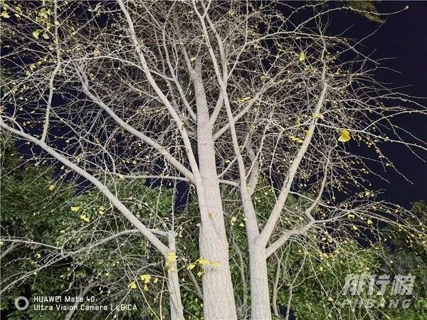 华为mate40拍照不清晰的原因