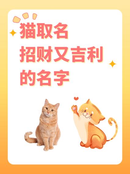 带猫字霸气昵称女