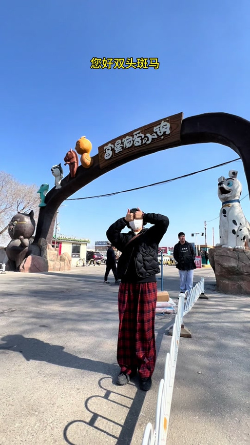 沈阳狗市最火三个地方