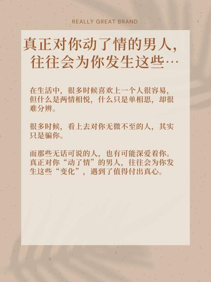 动了真感情是什么意思缩略图