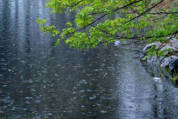 落雨雅称