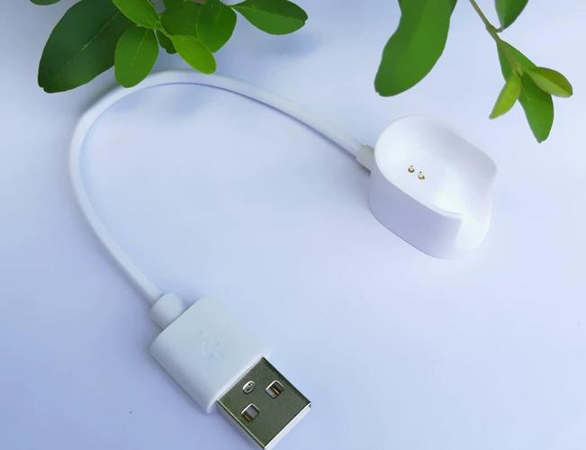 小米蓝牙耳机用什么充电器