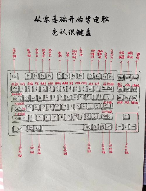 ipad原装键盘和蓝牙键盘有什么不同