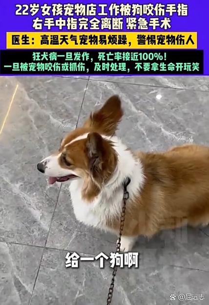 女生在宠物店上班的坏处