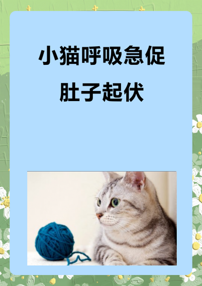 猫咪怎么一直在急促的喘气