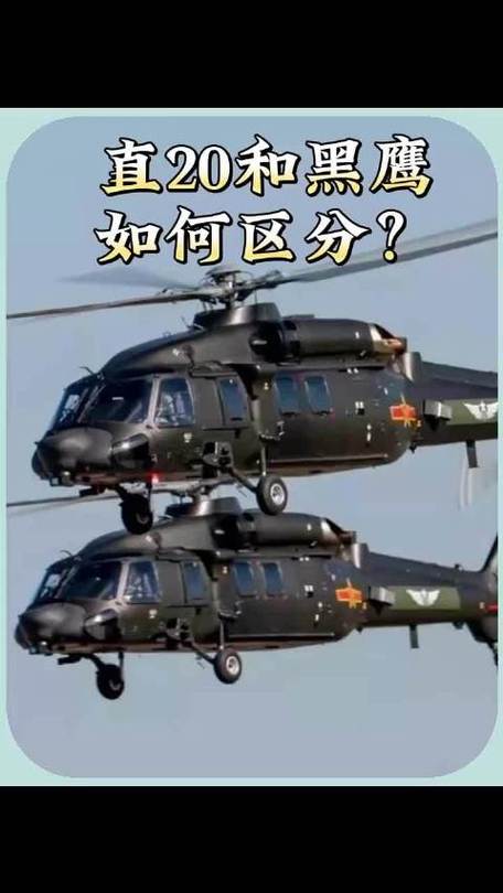 黑鹰代表什么意思
