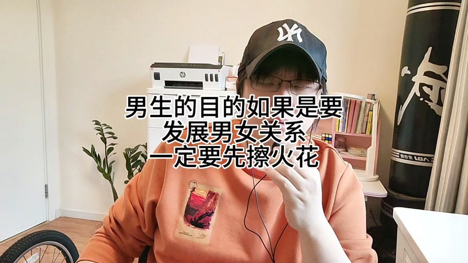 伴侣火花只有一个吗