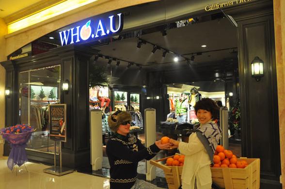 韩国逗号品牌vs韩国who.a.u品牌哪个档缩略图