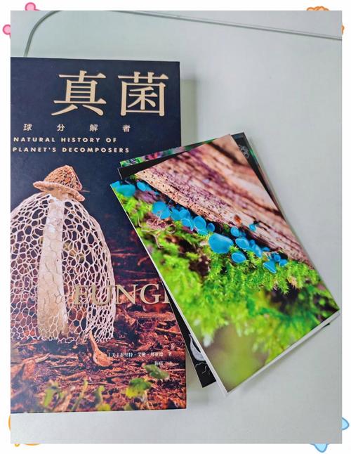 真菌世界2.2.1汉化最新版本更新内容
