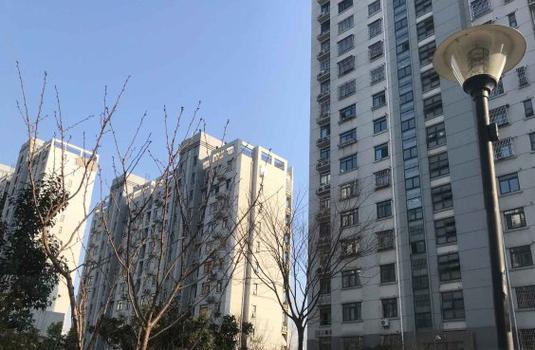 丁香家园