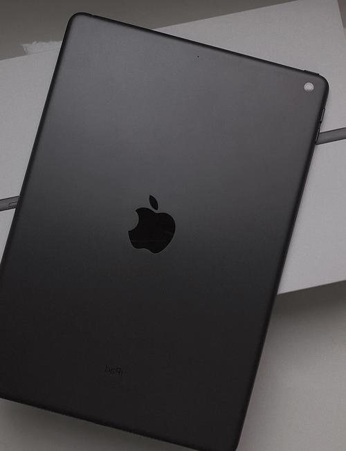 苹果ipad pro 2019图标