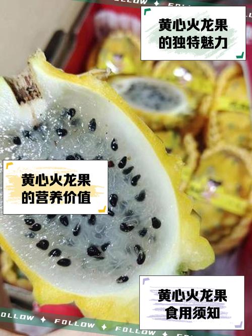 蜜汁樱桃黄心火龙果
