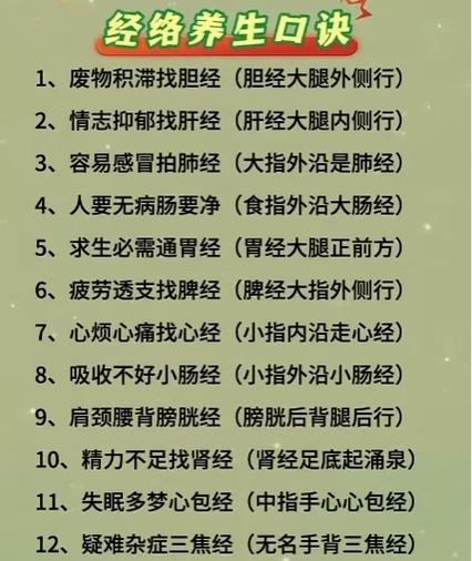 十二经络歌诀顺口溜缩略图