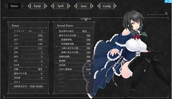 魔女复仇之夜0.45汉化版