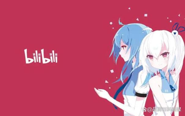 b站和bilibili是一个吗?
