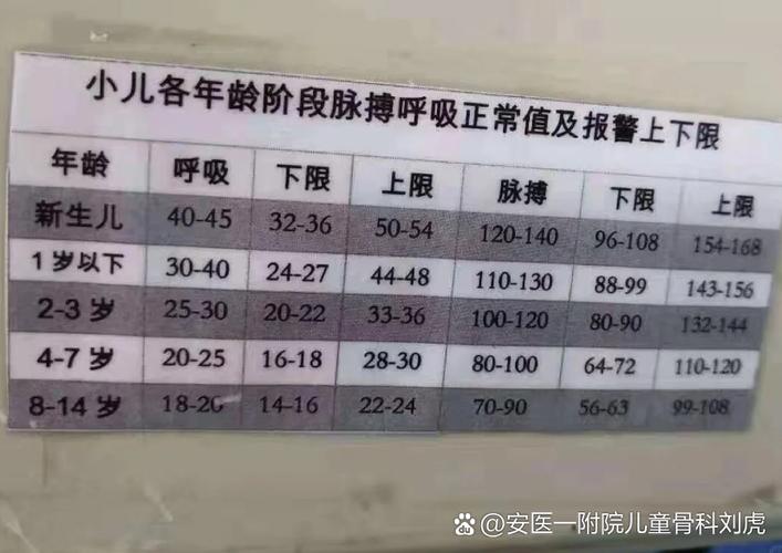 我1分钟呼吸多少次缩略图