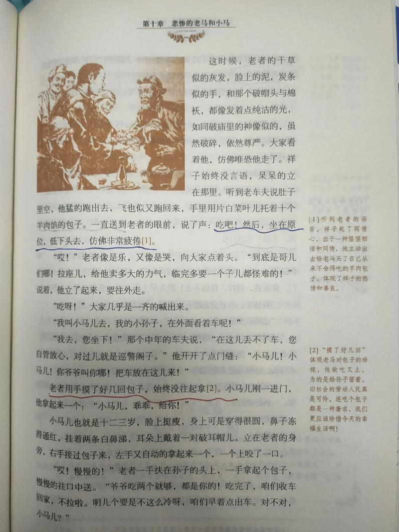 老马家小白完整版