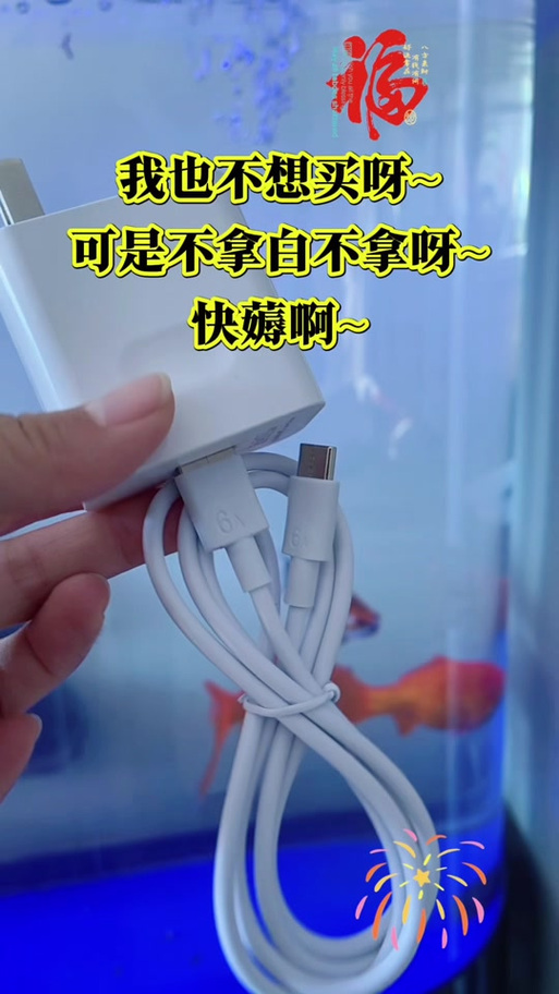 闪充充电器突然不能闪充了