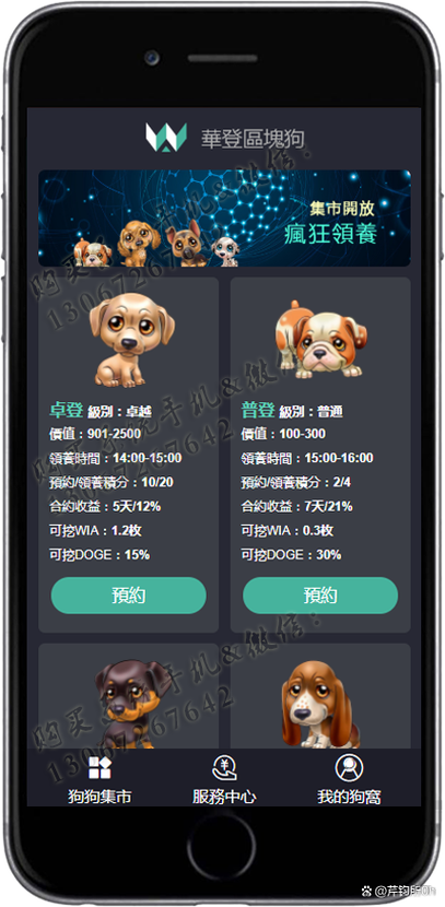 华登区块狗最新