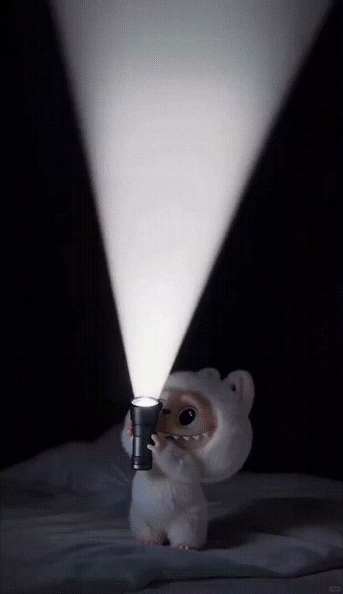 张少康最新动态