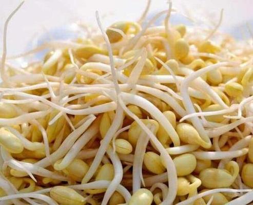 短豆芽