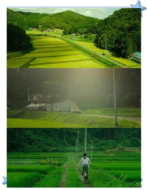 小森林电影在线观看