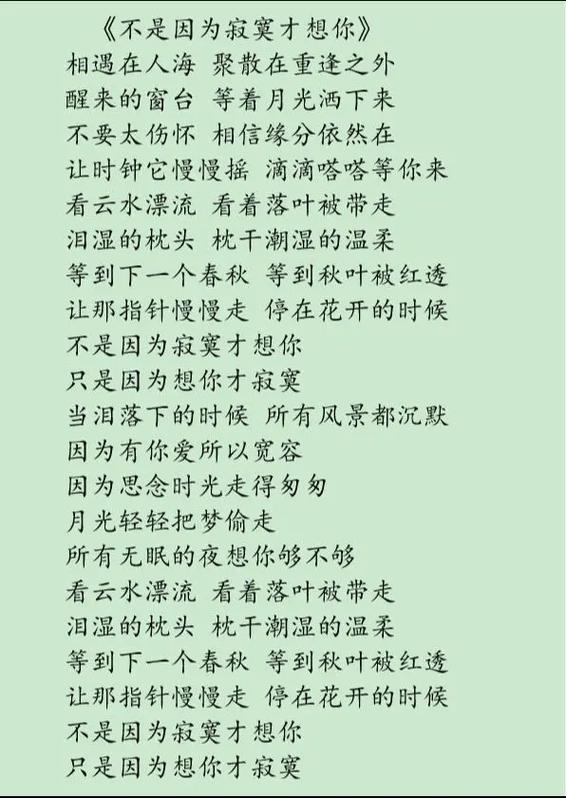 潘鸿彬版《不是因为寂寞才想你》截图